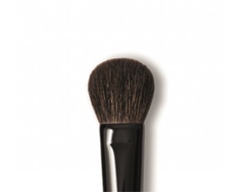 BRUSH DELUXE BLUSH