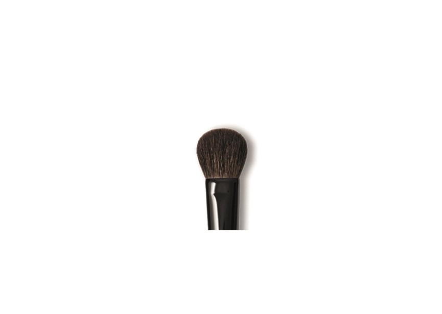 BRUSH DELUXE BLUSH