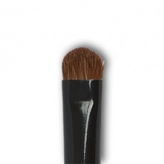 BRUSH SMUDGE Shadow / Ombreur