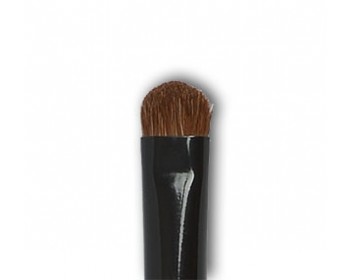 BRUSH SMUDGE Shadow / Ombreur