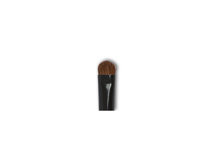 BRUSH SMUDGE Shadow / Ombreur