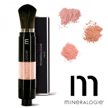 Dispensing Brushes Blush/Bronzeur